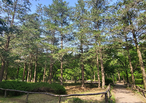 자연수림원