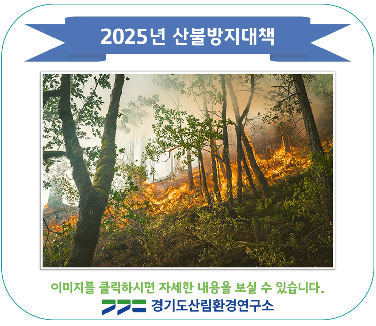 2025산불방지대책